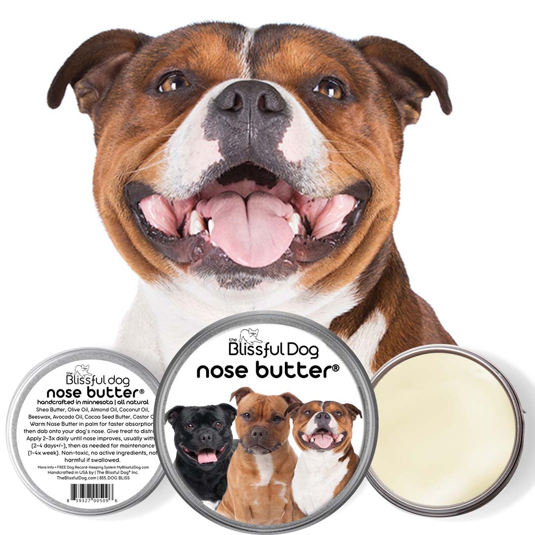 Staffordshire Bull Terrier Nose